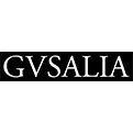 GVSA.jpg