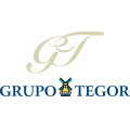 GRUPO TEGOR.jpg